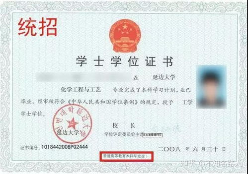 自考本科和成人本科有哪些区别？(报考条件、学习方式等全面比较)