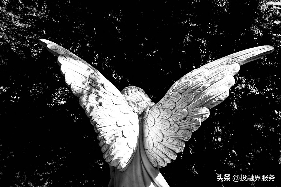 天使投资者的主要来源包括（天使投资人主要来源）