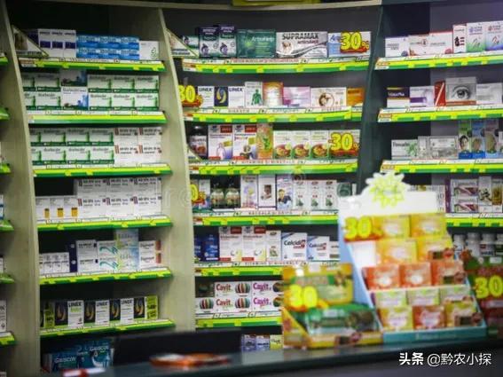 在乡镇做什么生意比较好 投资小的（适合农村种植的赚钱项目）
