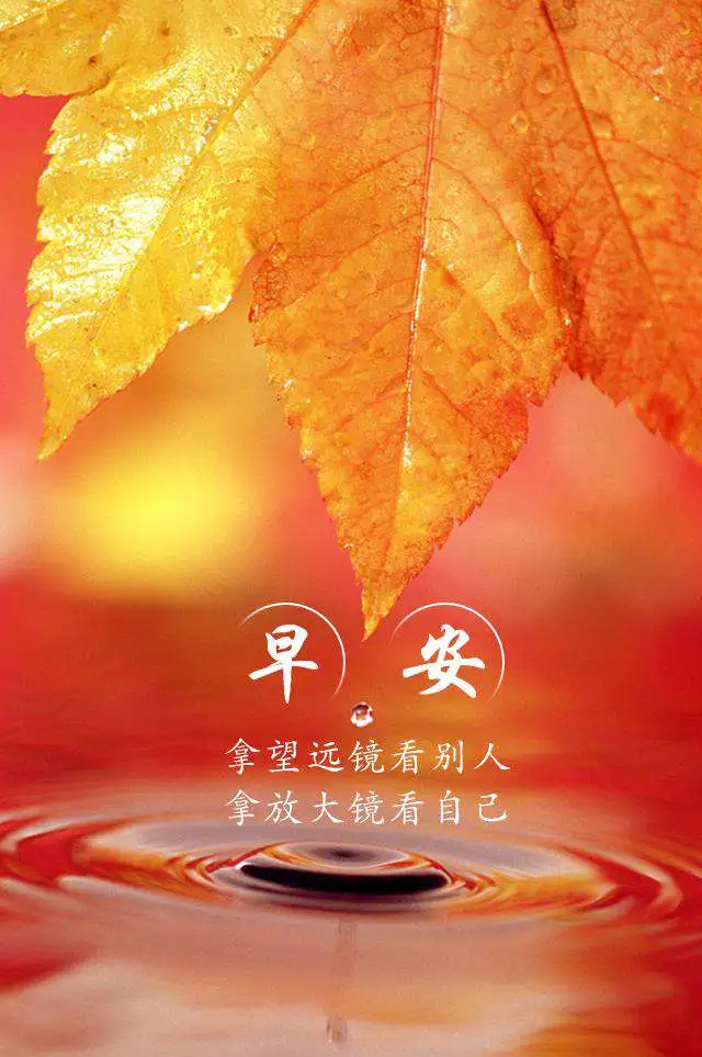 淡然面对幸运，笑着面对不顺，这才是人生，早安！