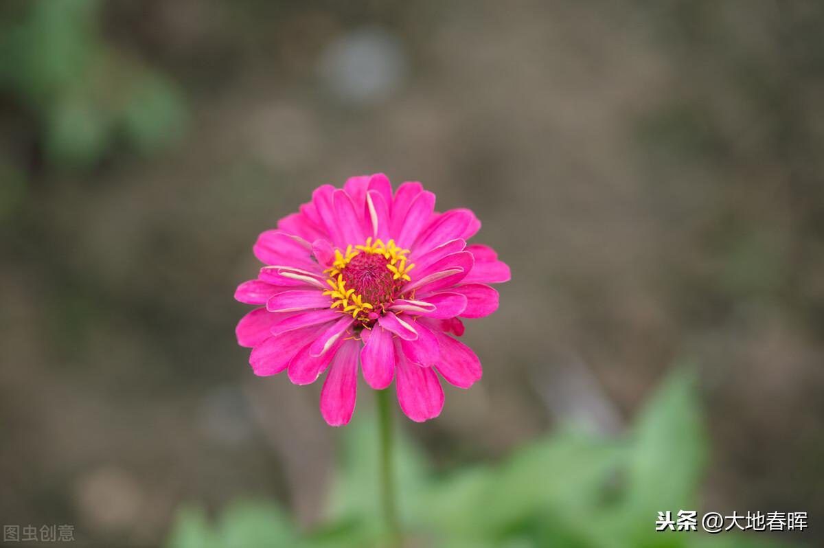 看淡生活就好的说说图片_看淡就好的图片_看淡就好的句子