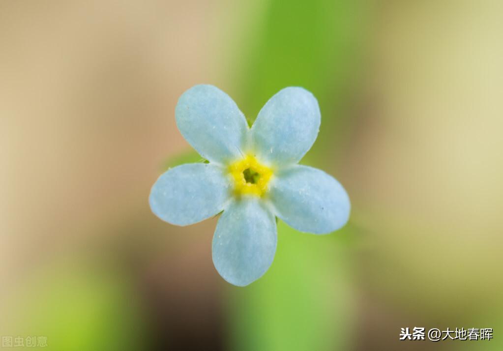 看淡就好的句子_看淡就好的图片_看淡生活就好的说说图片