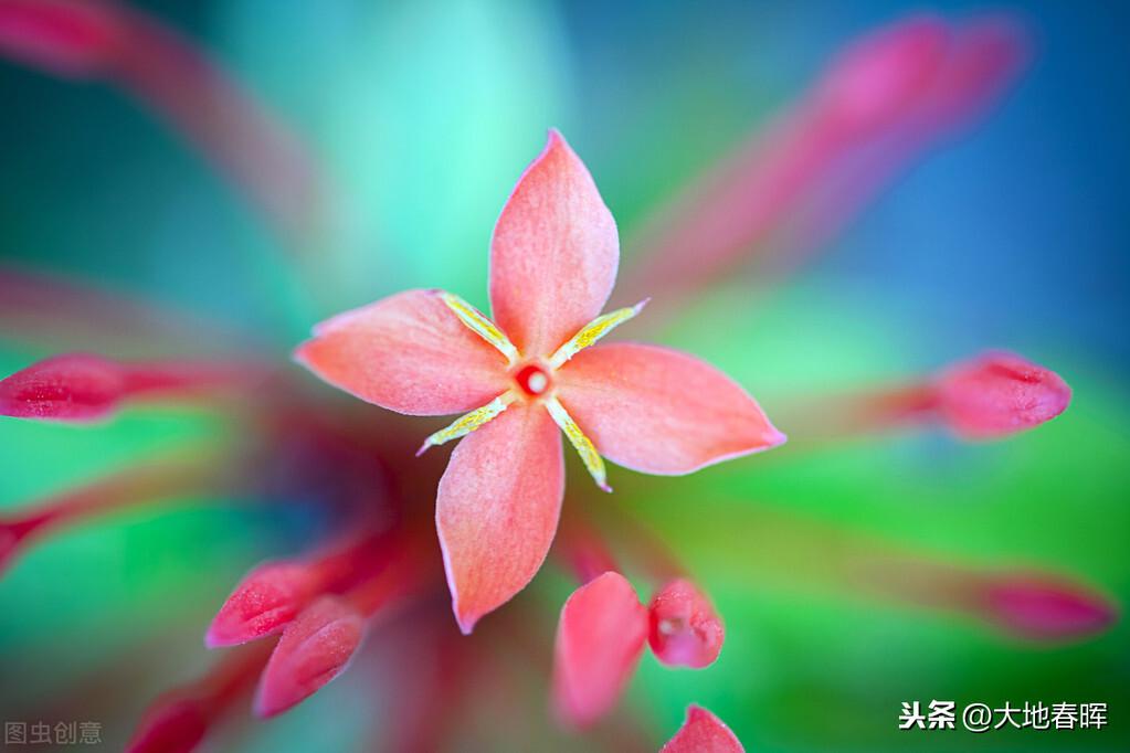 看淡就好的图片_看淡就好的句子_看淡生活就好的说说图片