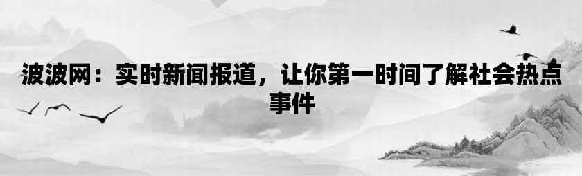 波波网：实时新闻报道，让你第一时间了解社会热点事件