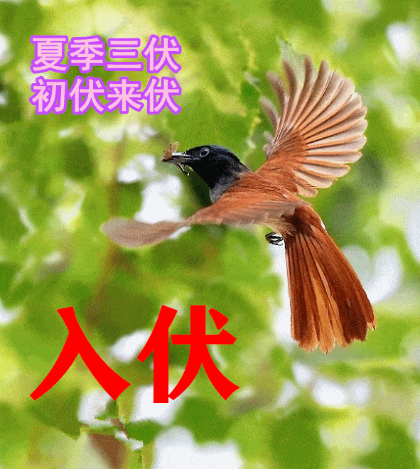 心宽无处不桃源，何处不是水云间，看淡了一切，一切就简单