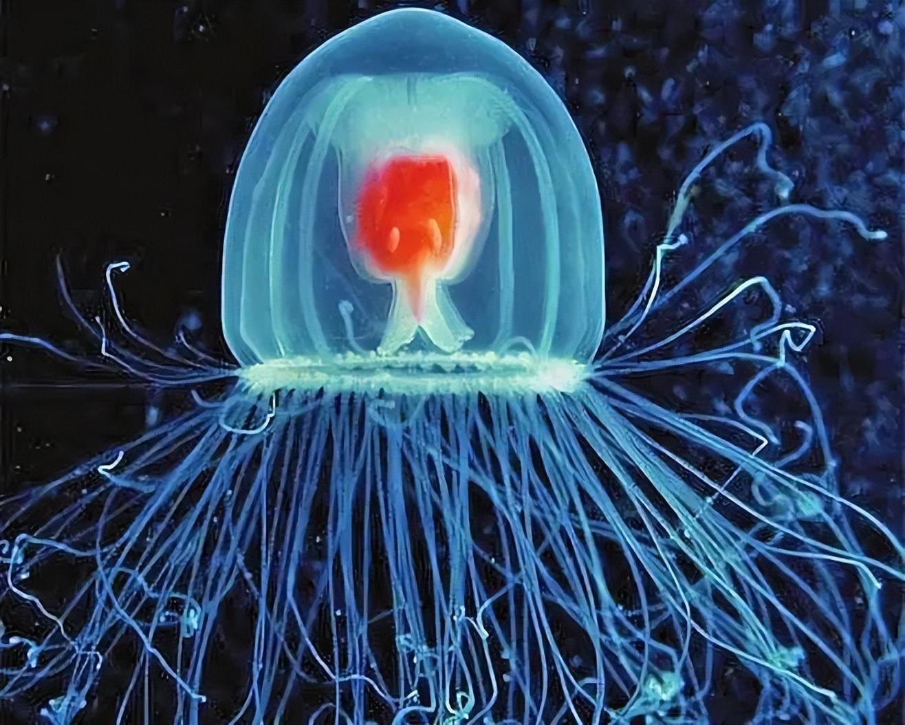 世间生物压力_生物层面的压力源_生物压力有哪些