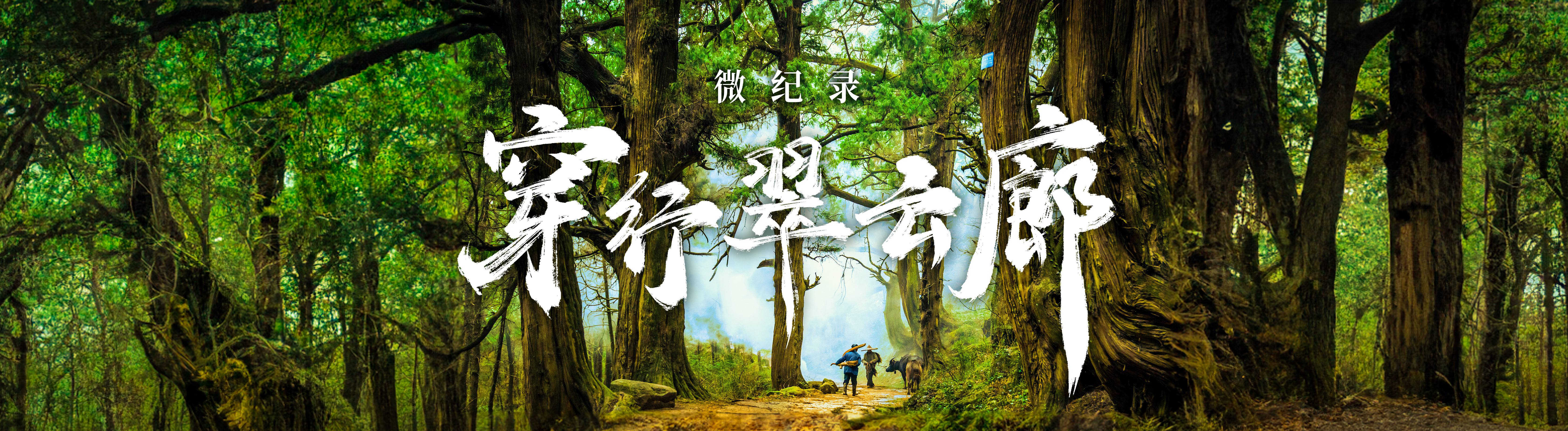 最近热点新闻素材_新闻2021热点新闻素材_最新素材新闻热点