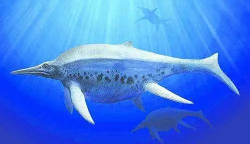 世间生物蓝鲸有多少只_蓝鲸是生物吗_世间有蓝鲸的生物吗