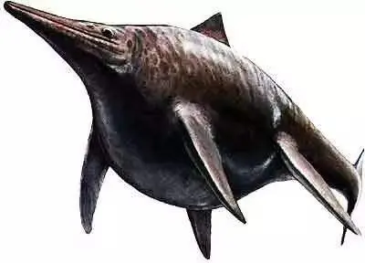 世间有蓝鲸的生物吗_世间生物蓝鲸有多少只_蓝鲸是生物吗