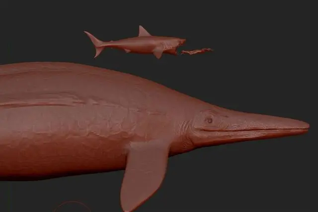 世间生物蓝鲸有多少只_世间有蓝鲸的生物吗_蓝鲸是生物吗
