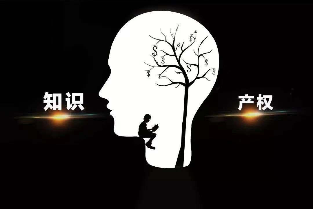 知识产权快速维护中心是什么？
