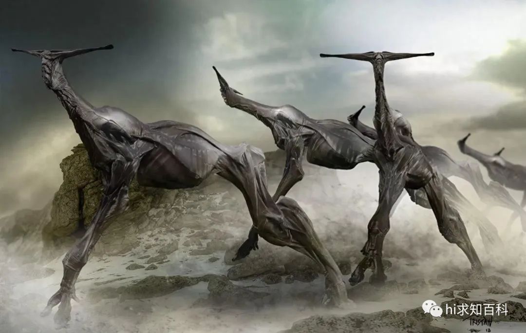 丛林神秘生物：8米巨大外貌如同外星人，是天外来客还是迷之事件
