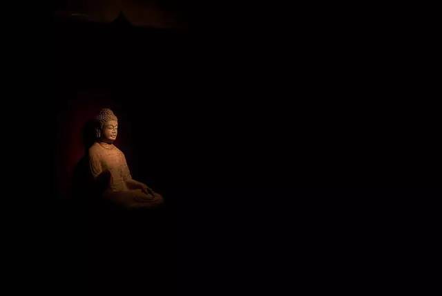 世间有爱是什么意思_世间生物皆有爱_世间生物皆有灵性