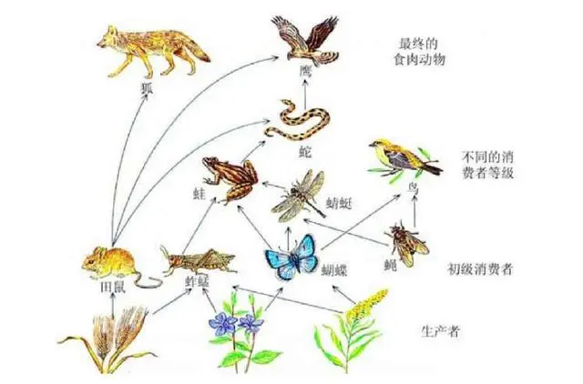 变态世间生物是什么_变态世间生物图片_世间变态生物