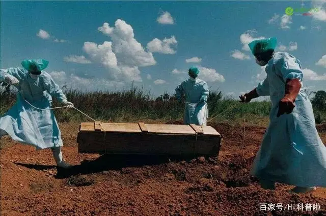 变态世间生物是什么_变态世间生物图片_世间变态生物