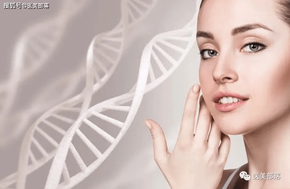生物胶原蛋白肽的作用与功效_蛋白胶原是什么_景波生物胶原蛋白