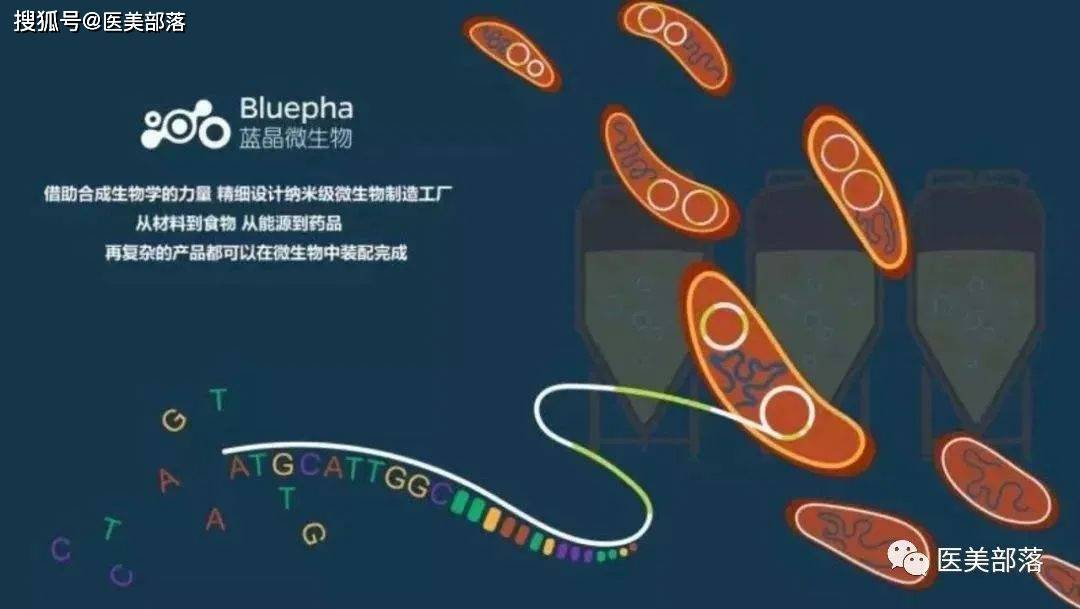 生物胶原蛋白肽的作用与功效_景波生物胶原蛋白_蛋白胶原是什么