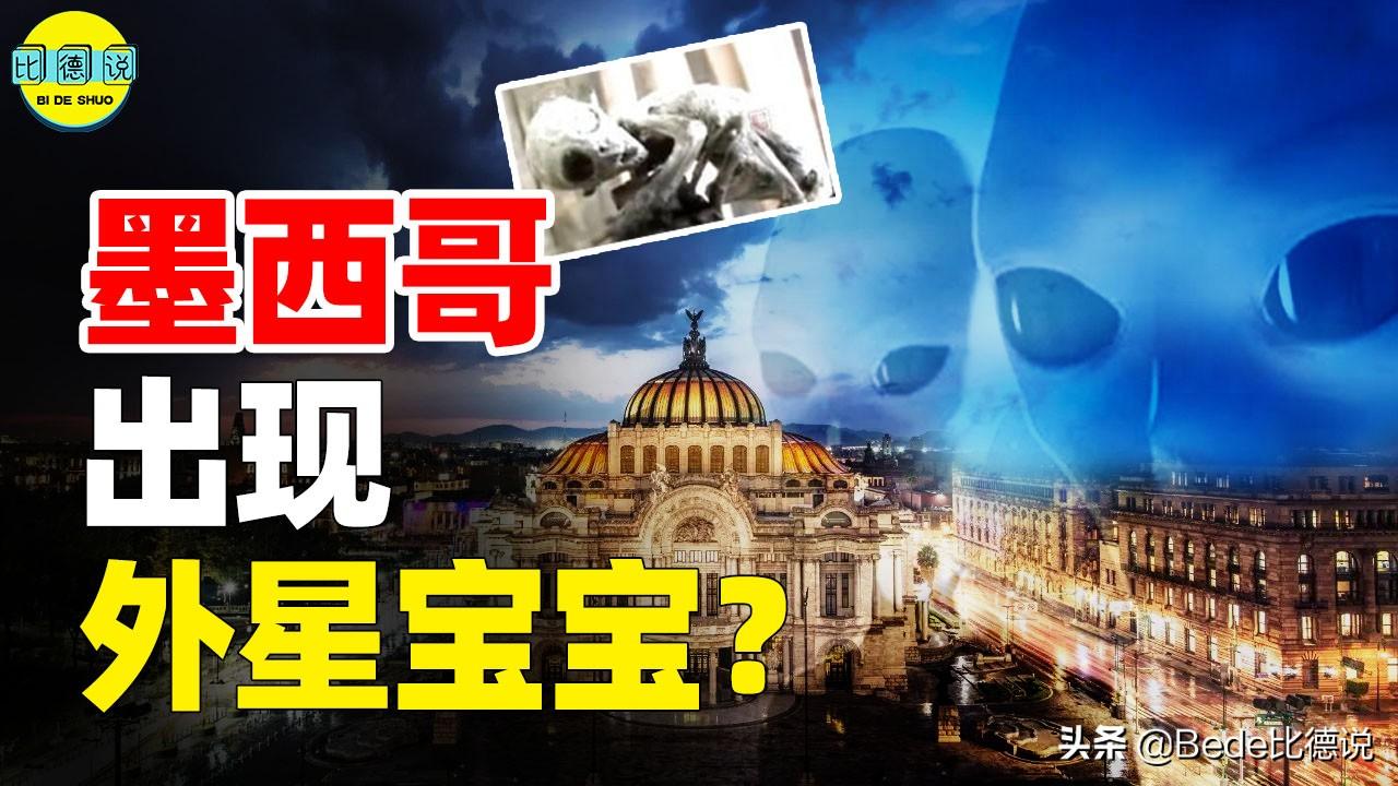 世间生物都是怎么形成的_世间的生物_世间生物皆有灵性