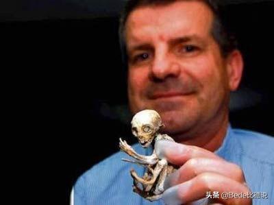 世间的生物_世间生物都是怎么形成的_世间生物皆有灵性