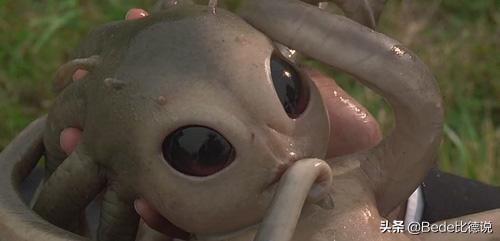 世间生物都是怎么形成的_世间生物皆有灵性_世间的生物
