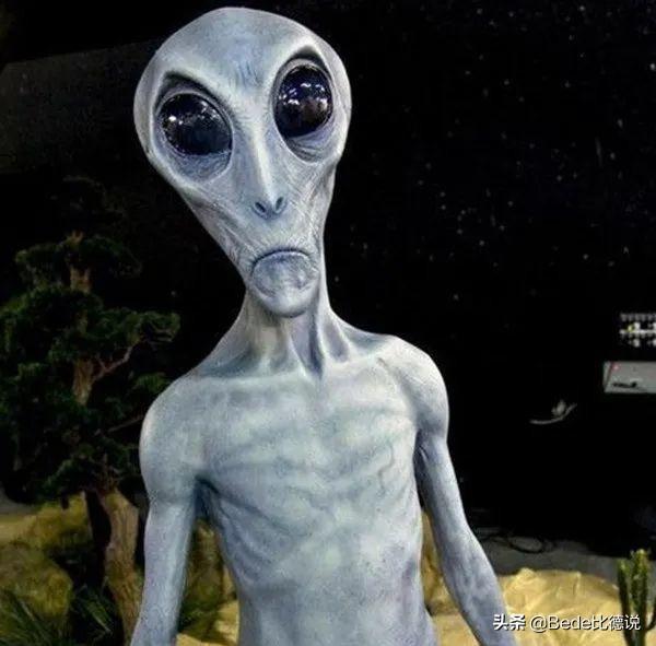 世间生物都是怎么形成的_世间的生物_世间生物皆有灵性