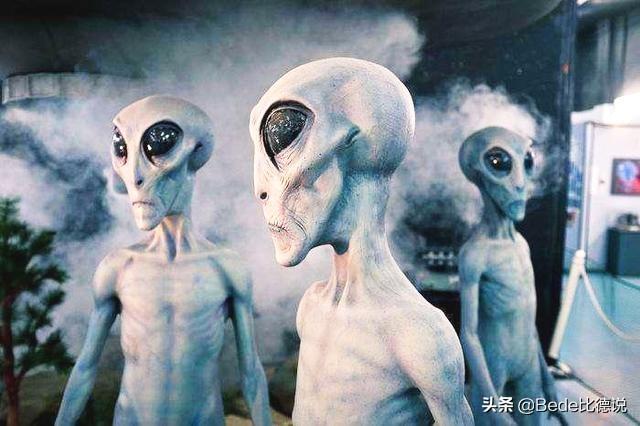 世间的生物_世间生物皆有灵性_世间生物都是怎么形成的