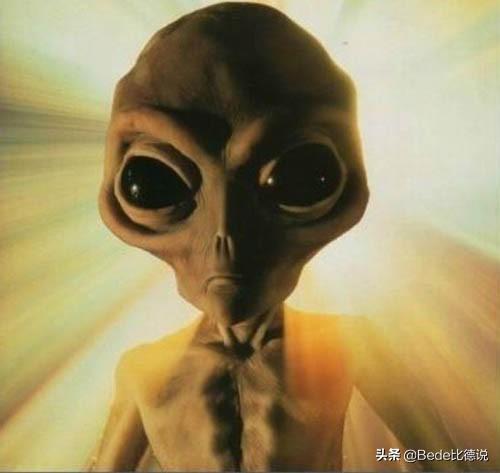 世间生物皆有灵性_世间生物都是怎么形成的_世间的生物