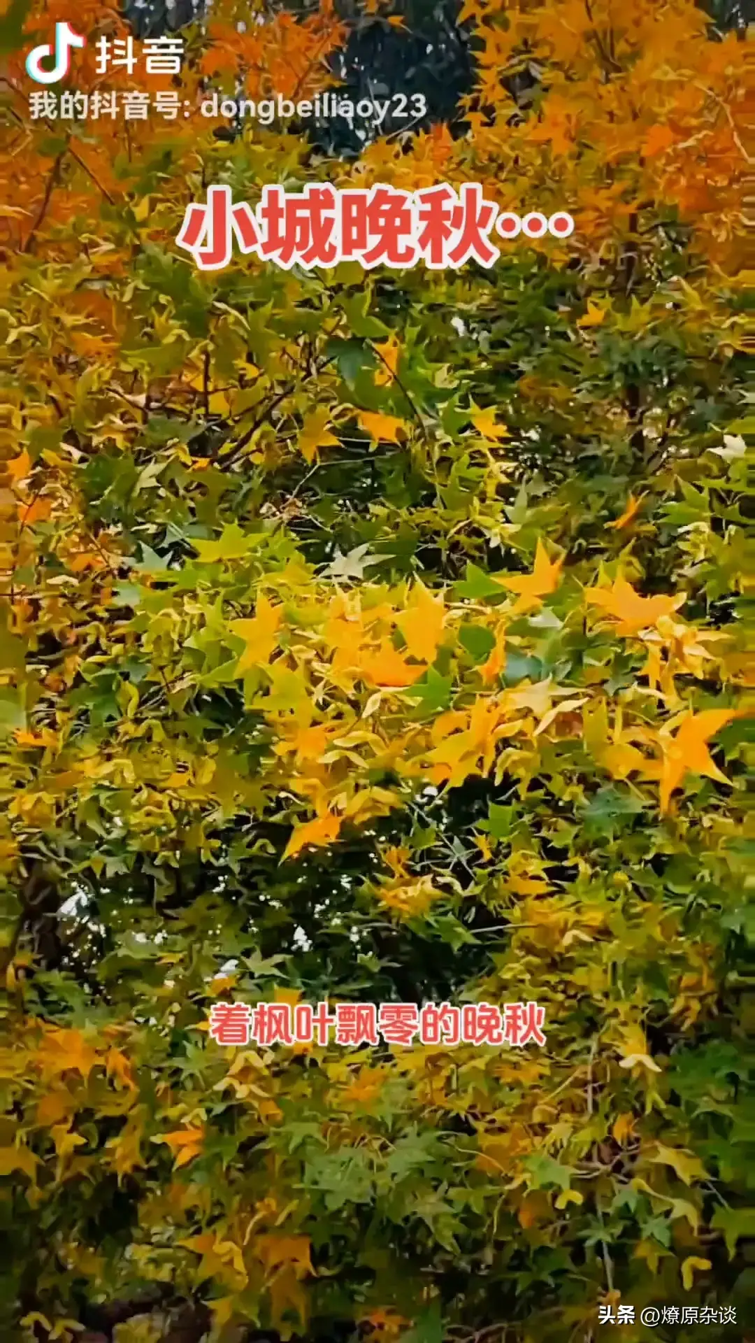 没有开心的事怎么办_觉得生活没意思开心不起来_感觉生活没什么可开心的事情