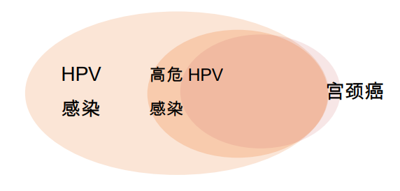 没同房感染hpv_4年没性生hpv是怎么感染的_没有性生病感染hpv