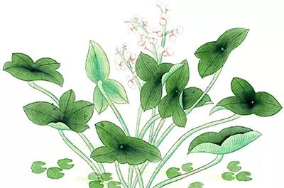 美是生活这一观点_美是生活的观点_生活观点作文