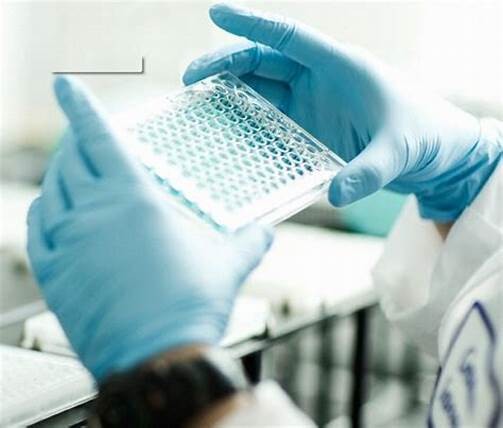 生物医学工程属于什么大类