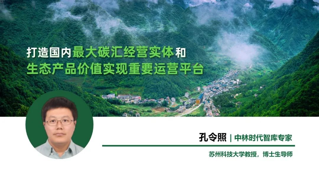 智库观点 | 孔令照：基于生物炭土壤固碳的森林碳汇系统构建