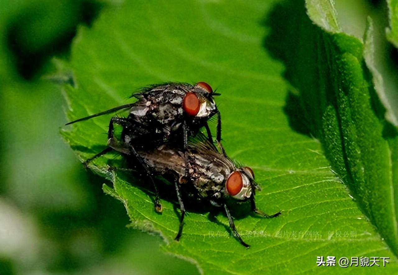 里面竟然藏着7000只神秘生物，居然来自美国神秘包裹