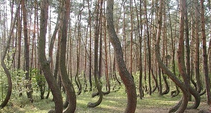 诡异震惊世界未解之谜——我见过最全的