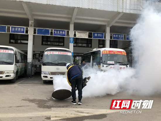 武陵源：开展春季病媒生物防制 建设健康美丽宜居家园