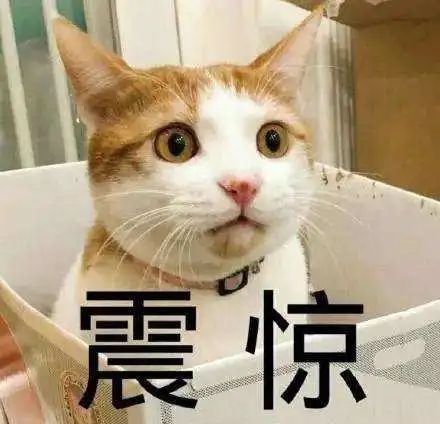 短视频“点赞”能赚钱？小心，是诈骗！