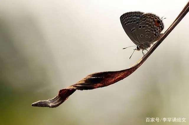 对生活看淡了_看淡生活的句子_看淡生活的文案短句