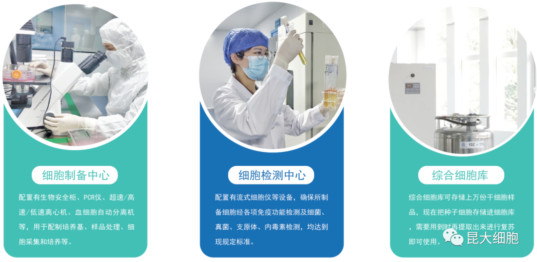 昆大细胞生物_昆明细胞库_昆虫细胞是动物细胞吗