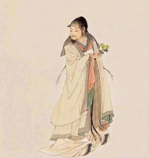 负子类动物_螟蛉有子蜾蠃负之翻译_螟蛉有子蜾蠃负之生物关系