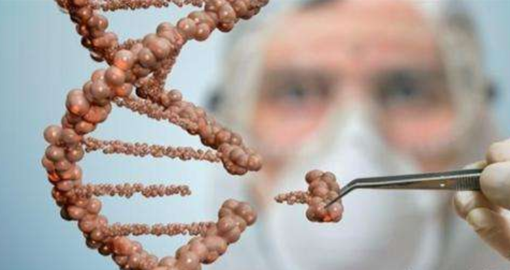 克隆羊生物是什么意思_克隆羊是不是生物_克隆羊生物是什么生物