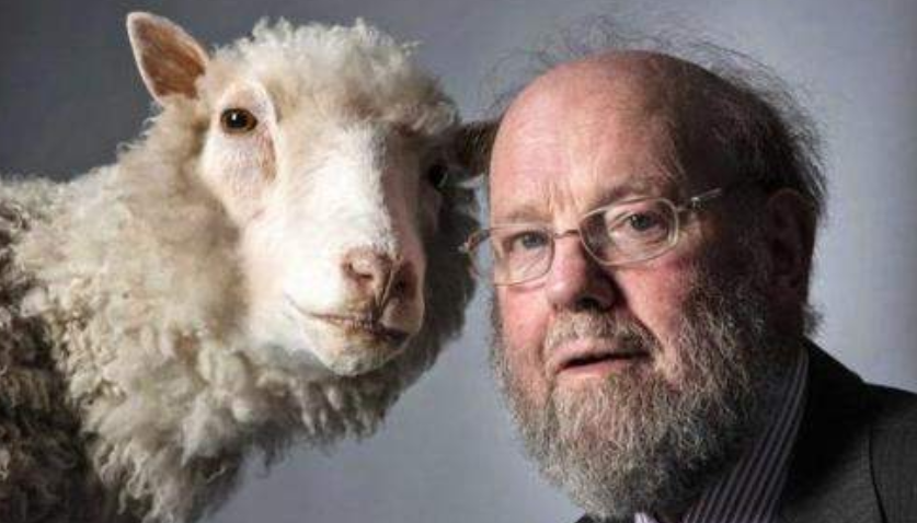 克隆羊是不是生物_克隆羊生物是什么生物_克隆羊生物是什么意思