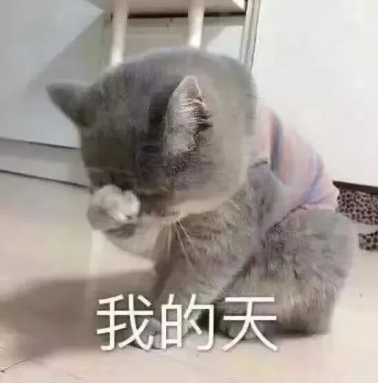 hpv阳性夫妻可以同房吗_hpv18阳性影响同房_hpv18阳性,能过夫妻生活吗
