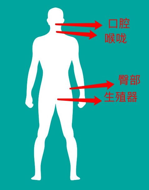 hpv阳性夫妻可以同房吗_hpv18阳性影响同房_hpv18阳性,能过夫妻生活吗