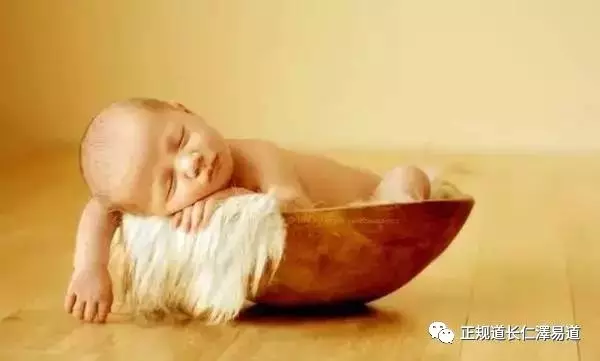 五行专业知识_五行的专业知识_五行专业