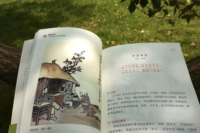 丰子恺有趣生活_丰子恺的风趣语言_丰子恺的生活情趣和人生态度