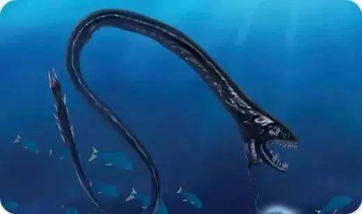 深海里的恐怖生物宛如电影里的异形