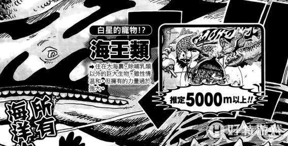 海贼王里的巨大怪物们 个个都堪称传说生物