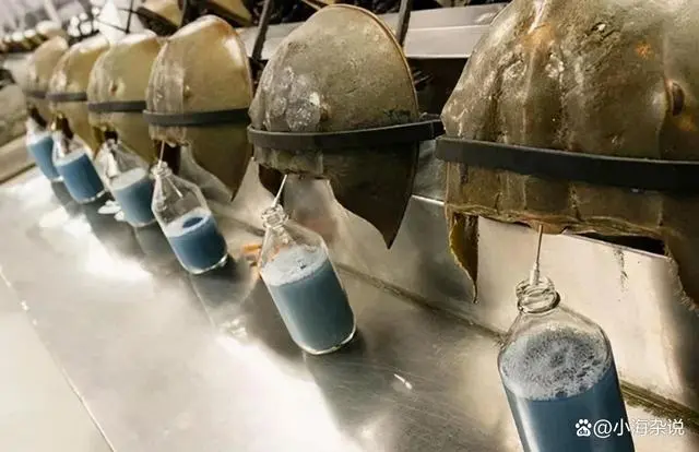 地球上生物物种_地球上有几种生物_地球生物种上有多少种