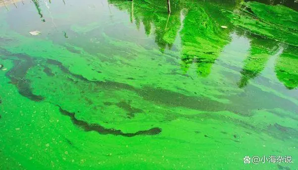 地球生物种上有多少种_地球上生物物种_地球上有几种生物
