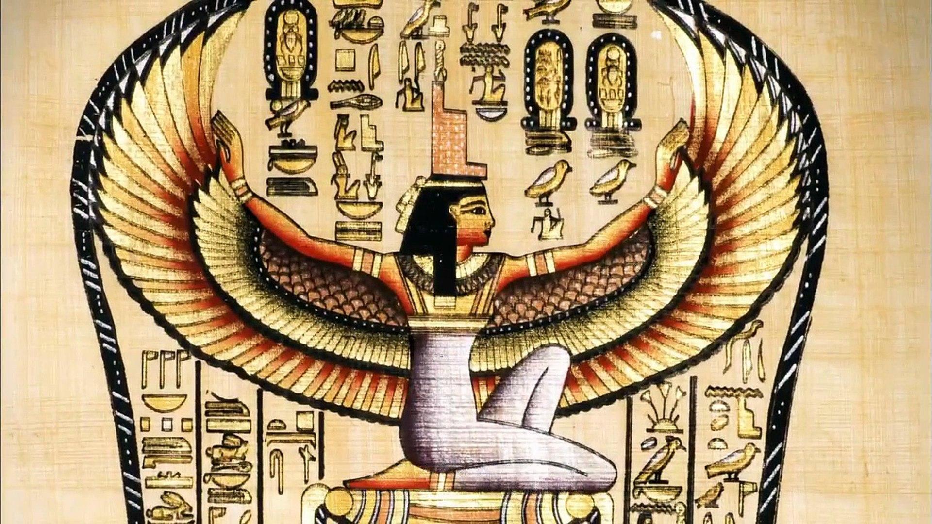 人世间最高等的生物是什么_高等世间生物人是人类吗_谁是高等生物